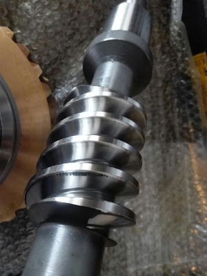 395 mm de diamètre de pointe Arbre de ver et engrenage de ver avec un poids de 0,2 kg