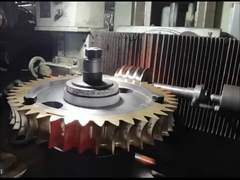 OEM ZCuAl10Fe3 Arbre de ver et équipement de ver ensemble 15 module