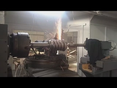 395 mm de diamètre de pointe Arbre de ver et engrenage de ver avec un poids de 0,2 kg